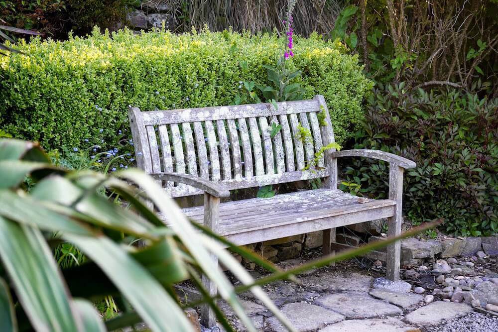 Orchard House Cornwall a bench in the garden