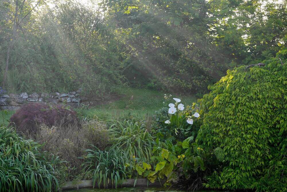 Orchard House Cornwall - the view accross the pond